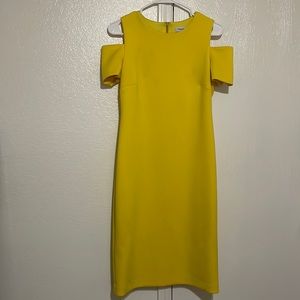 Calvin Klein Dress